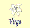 Virgo : sun-sign