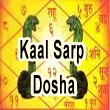 Kal Sarp Dosha Vedic Yagya Pooja Image