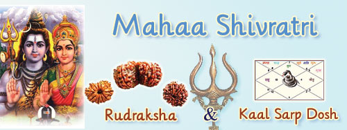 Mahashivratri shivratri rudraksha shiv puja image 