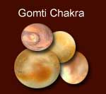 Gomti Chakra