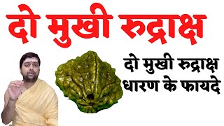 Ek Mukhi Rudraksha